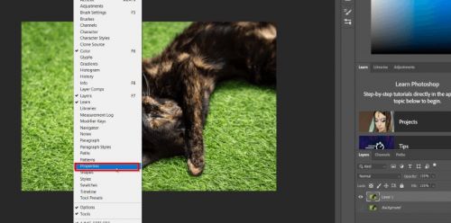آموزش جدا کردن پس زمینه در فتوشاپ